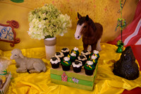 Mike_Rabbah_1st_birthday_Slideshow-11