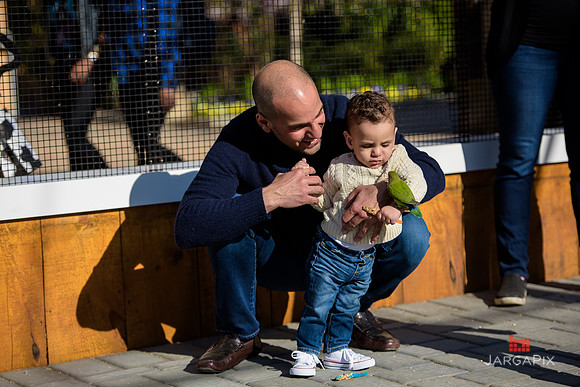 Mike_Rabbah_1st_birthday_Slideshow-120