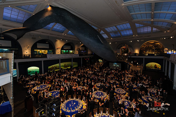 Galilen_Foundation_Awards_2014_AMONH-362