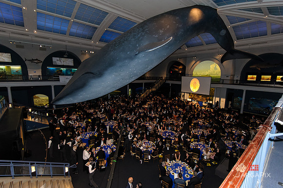Galilen_Foundation_Awards_2014_AMONH-366
