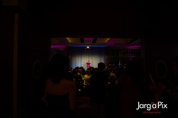 Center_For_Discovery_Evening_Of_Discovery_2012-234