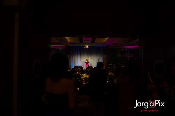 Center_For_Discovery_Evening_Of_Discovery_2012-235