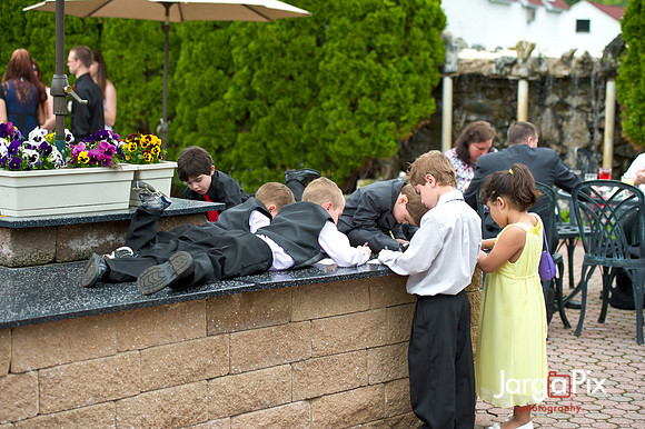 Laraine_Paul_Voitlander_Wedding_2011-379
