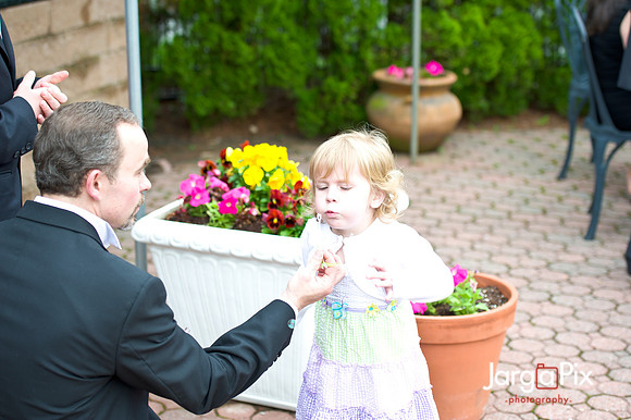 Laraine_Paul_Voitlander_Wedding_2011-371
