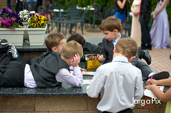 Laraine_Paul_Voitlander_Wedding_2011-382