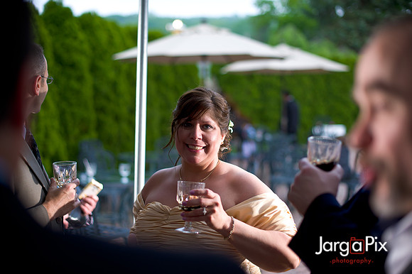 Laraine_Paul_Voitlander_Wedding_2011-474