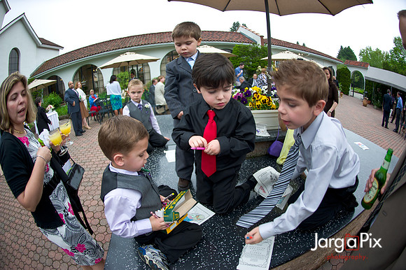 Laraine_Paul_Voitlander_Wedding_2011-419