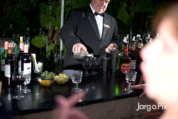 Laraine_Paul_Voitlander_Wedding_2011-467