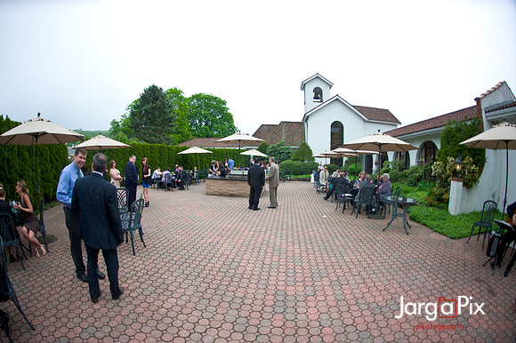 Laraine_Paul_Voitlander_Wedding_2011-374