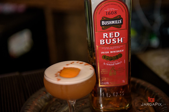 Soho_Exp_Red_Bush_Promo_Late_Late_Bar_NYC-166