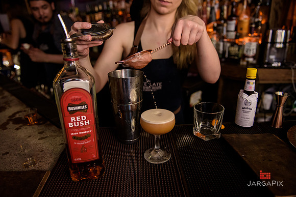 Soho_Exp_Red_Bush_Promo_Late_Late_Bar_NYC-157