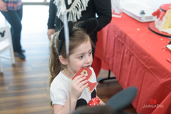 Paige_Hatton_5th_Birthday-277