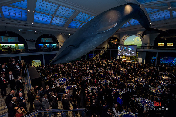 The_Galien_Foundation_Awards_2015_AMONH-190