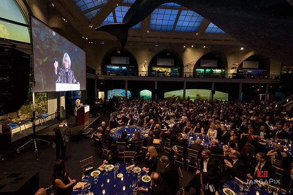 The_Galien_Foundation_Awards_2015_AMONH-359