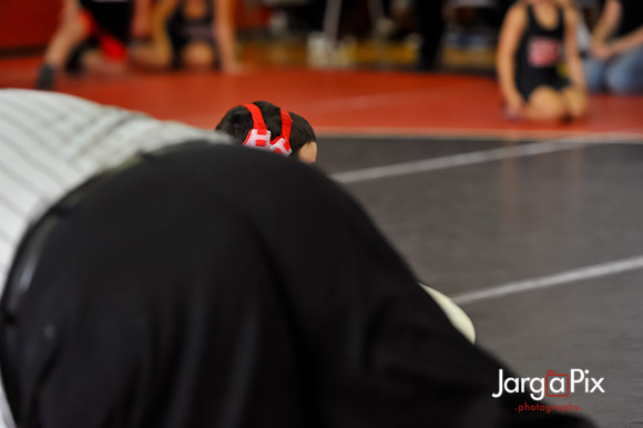 CP_Rec_Wrestling_2011-0602