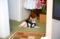 Tulin_Alex_Wedding-074