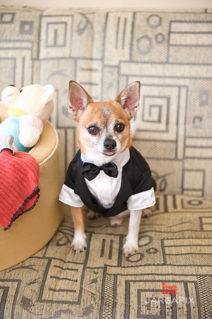 Tulin_Alex_Wedding-122