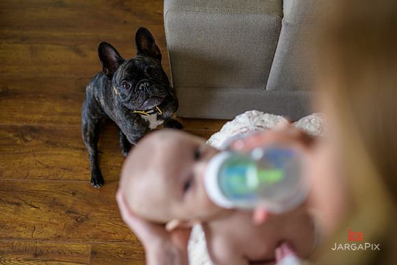 Theo_Family_Session-021