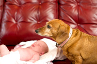 Piper_newborn_session-086-2