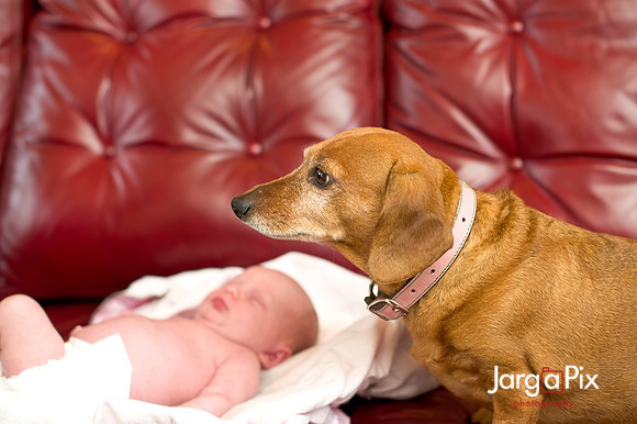 Piper_newborn_session-086-2