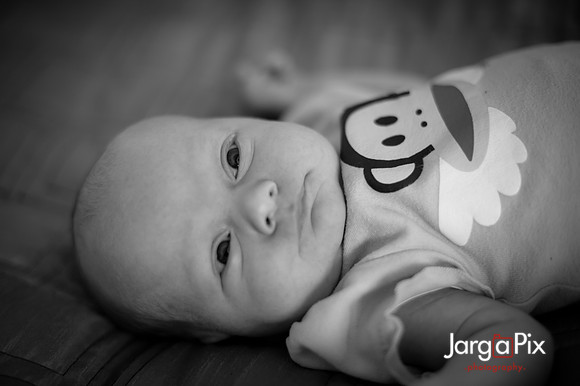 Piper_newborn_session-012-2