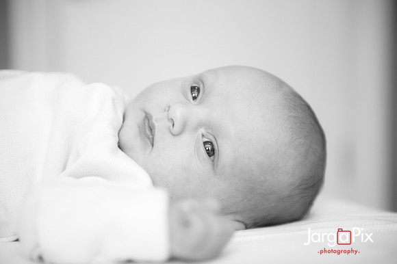 Piper_newborn_session-196-2