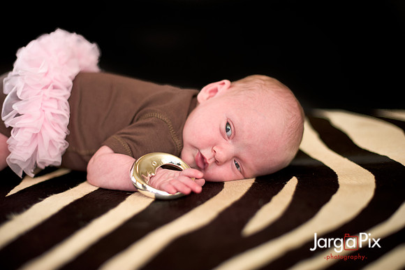 Piper_newborn_session-142-2