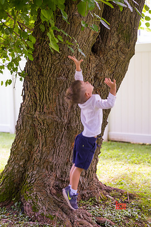 Capelan_Family_Session_2021-083