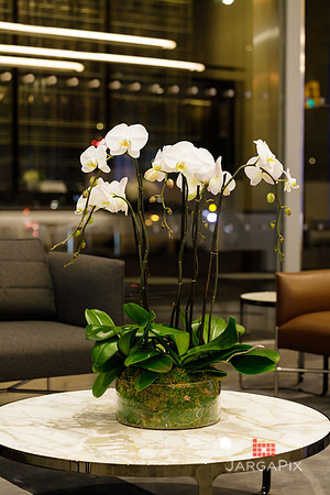 Soho_Citi_388_Opening_Tribeca_Grill-026