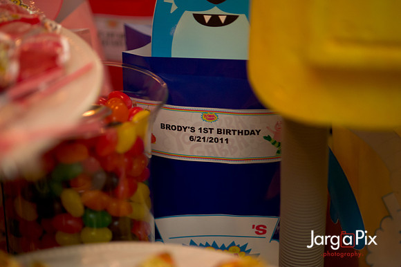 Brody's_1st_Bday-081