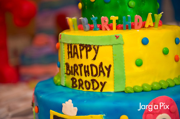 Brody's_1st_Bday-024