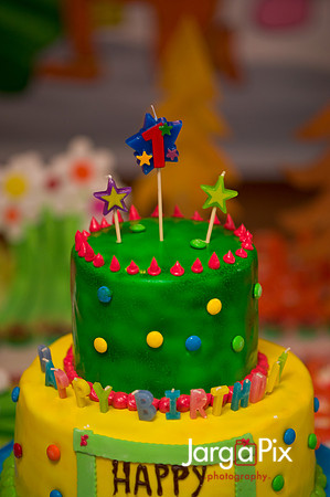 Brody's_1st_Bday-074