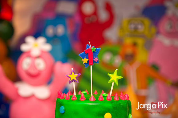 Brody's_1st_Bday-025
