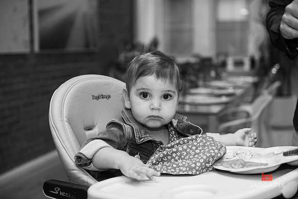 Funt_Family_Preview-03