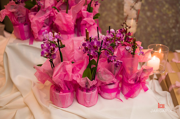 Chloe_Christening_Preview-37