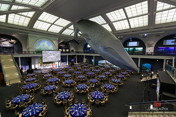 Prix_Galiean_Awards_Dinner_2021-172