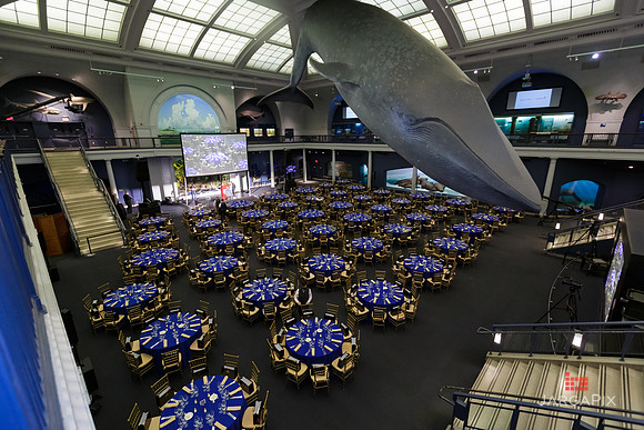 Prix_Galiean_Awards_Dinner_2021-173