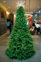 Soho_Citi_388_Giving_Tuesday_2022-007