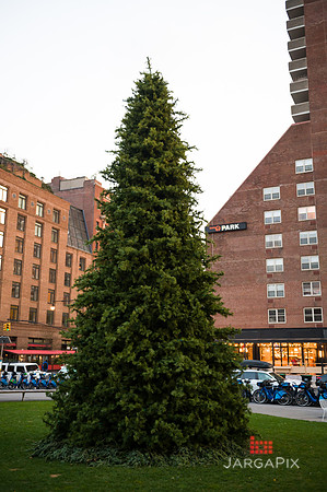 Soho_Citi_388_Giving_Tuesday_2022-075
