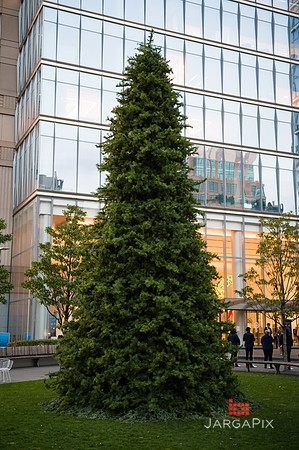 Soho_Citi_388_Giving_Tuesday_2022-076