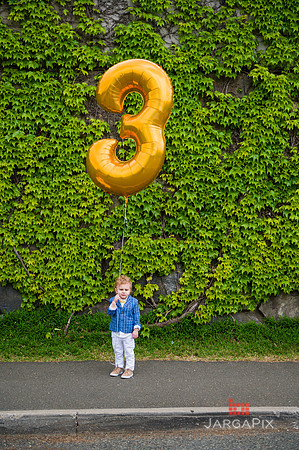 Theo_3rd_Bday_Previews-005
