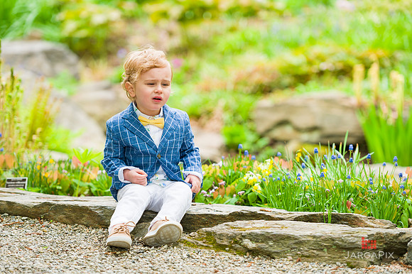 Theo_3rd_Bday_Previews-260