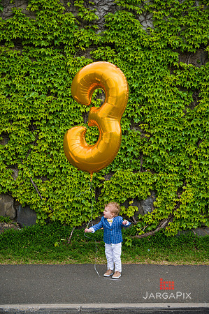 Theo_3rd_Bday_Previews-009