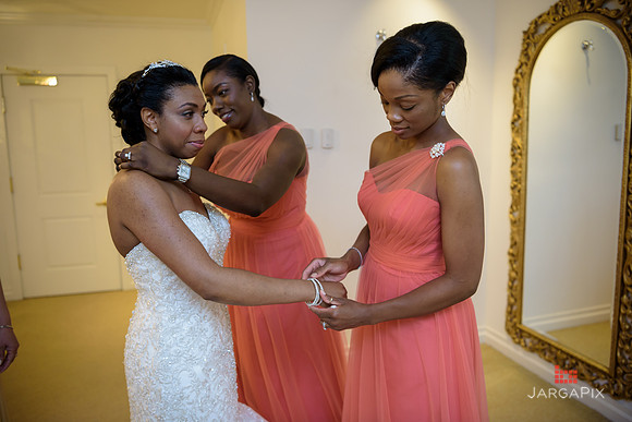 A-Celebs_Wedding_The_Grove_6-23-2016_0198