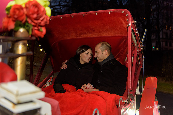The_Heart_Bandits_Proposal_Basil_Jessica-148