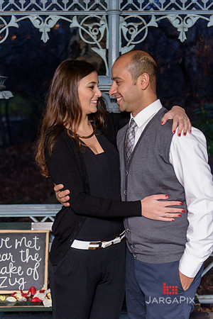 The_Heart_Bandits_Proposal_Basil_Jessica-137