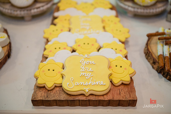 Santino_1st_Birthday-005