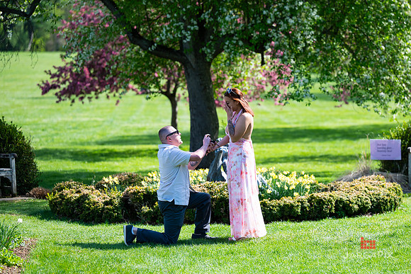 Sean_Marcy_Proposal-010