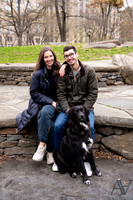 Kat_Nash_Proposal-14