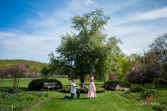 Sean_Marcy_Proposal-080